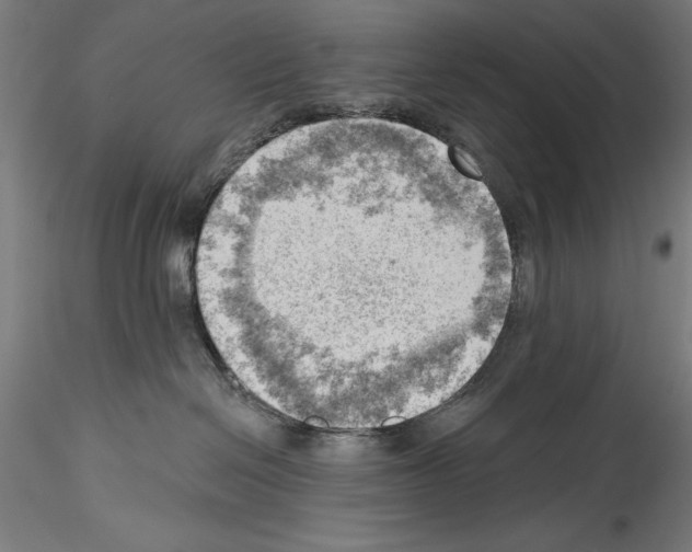 X0000114530286200911301145