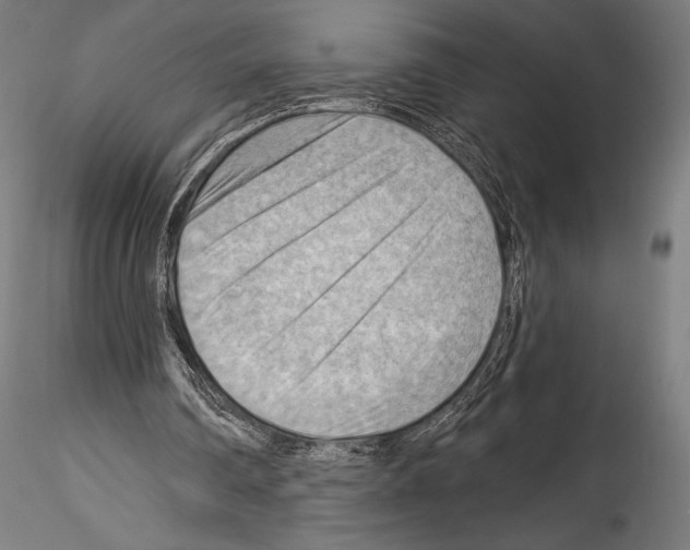 X0000114530290200911301145