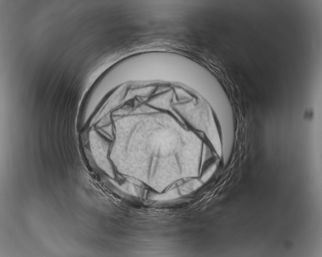 X0000114530292200911301145