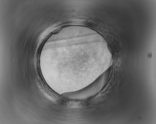 X0000114530294200911301145