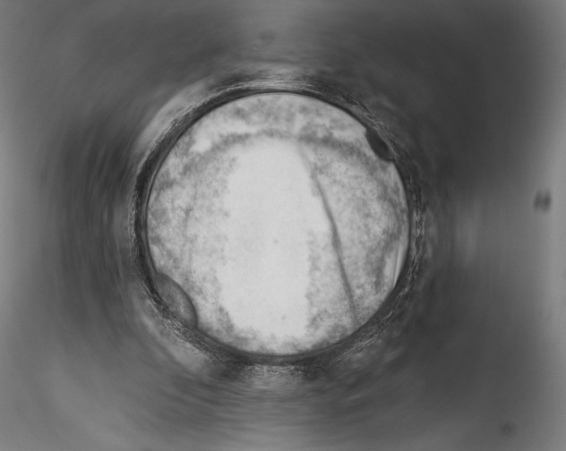 X0000114530296200911301145