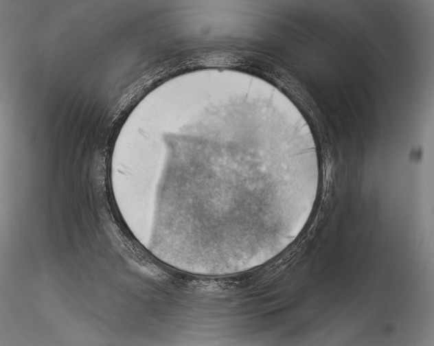 X0000114530297200911301145