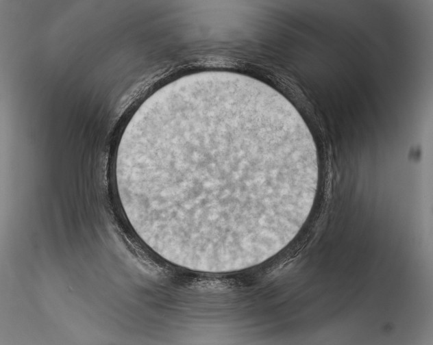 X0000114530299200911301145