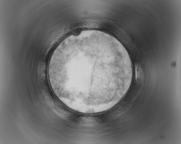 X0000114530300200911301145