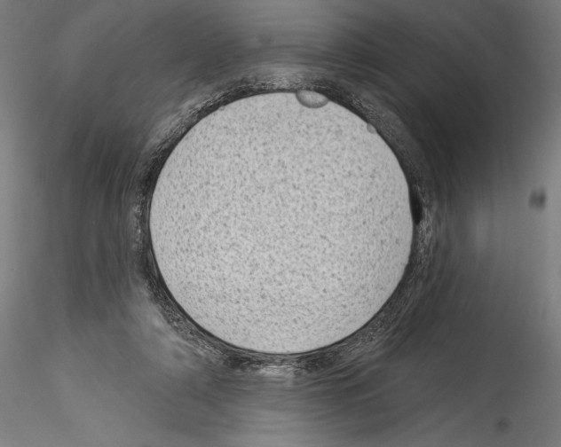 X0000114530306200911301145