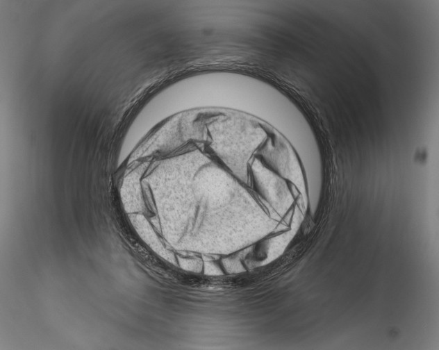 X0000114530308200911301145