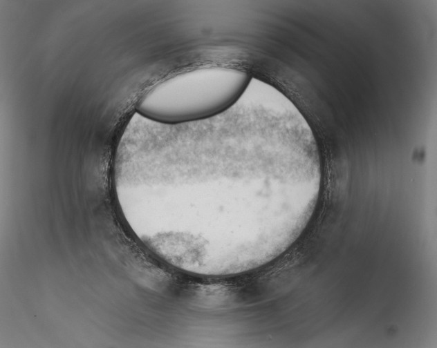 X0000114530309200911301145