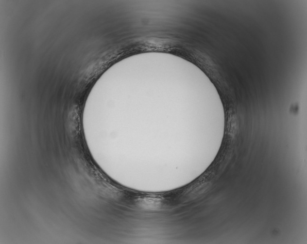 X0000114530318200911301144