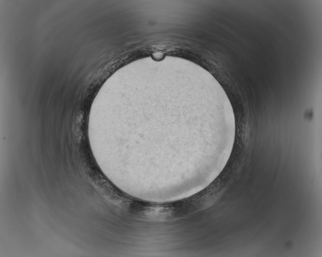 X0000114530319200911301144