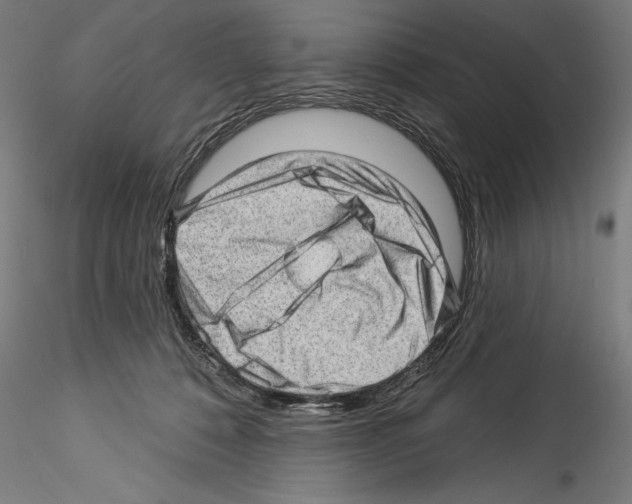 X0000114530320200911301144