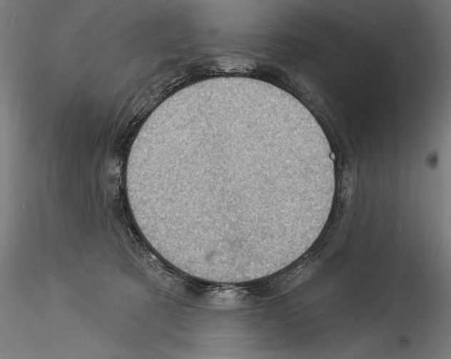 X0000114530321200911301144