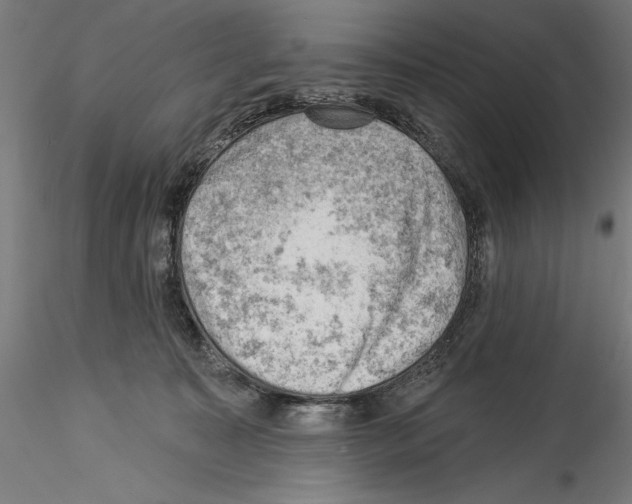 X0000114530323200911301144