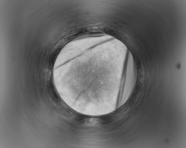 X0000114530324200911301144