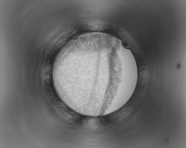 X0000114530325200911301144