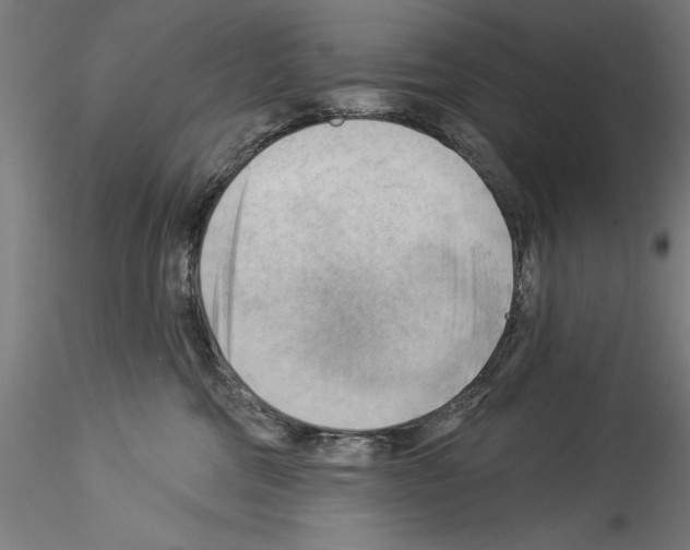 X0000114530330200911301144