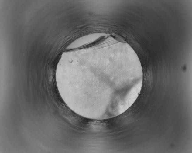 X0000114530331200911301144