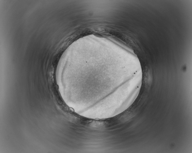 X0000114530332200911301144