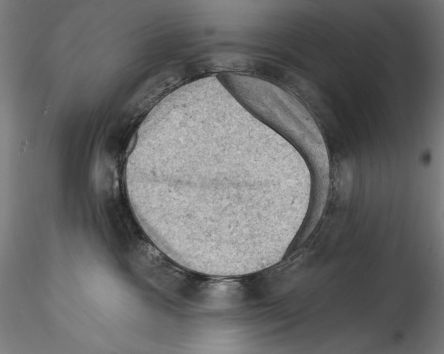 X0000114530333200911301144