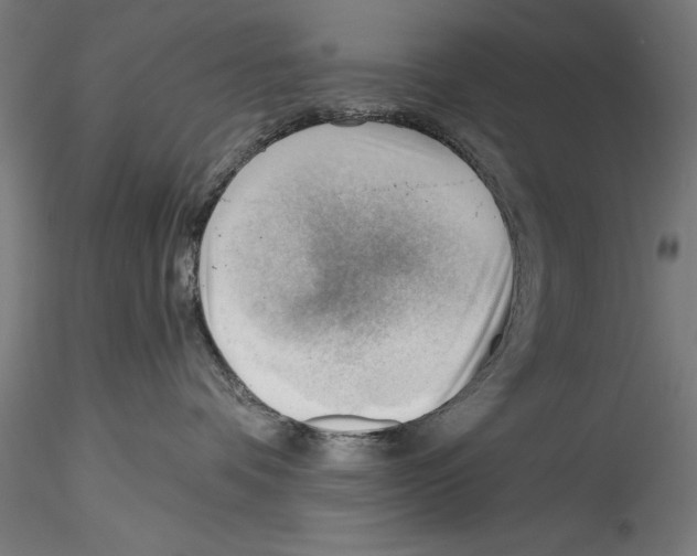 X0000114530336200911301144