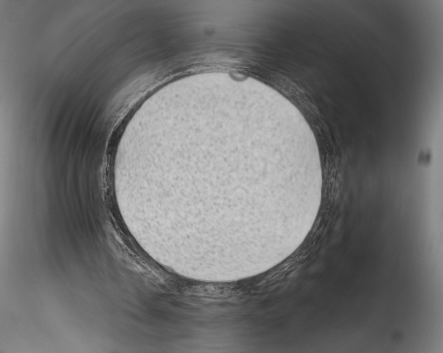 X0000114530338200911301143