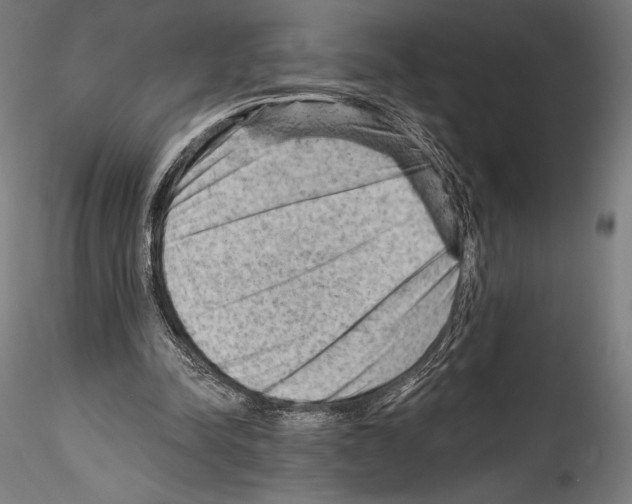 X0000114530342200911301144