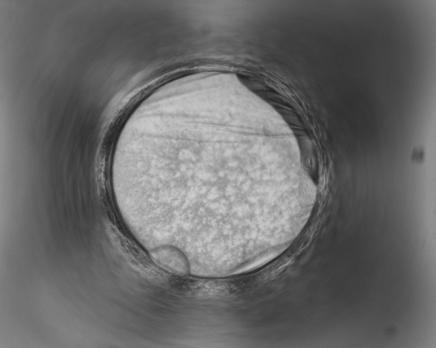 X0000114530343200911301144