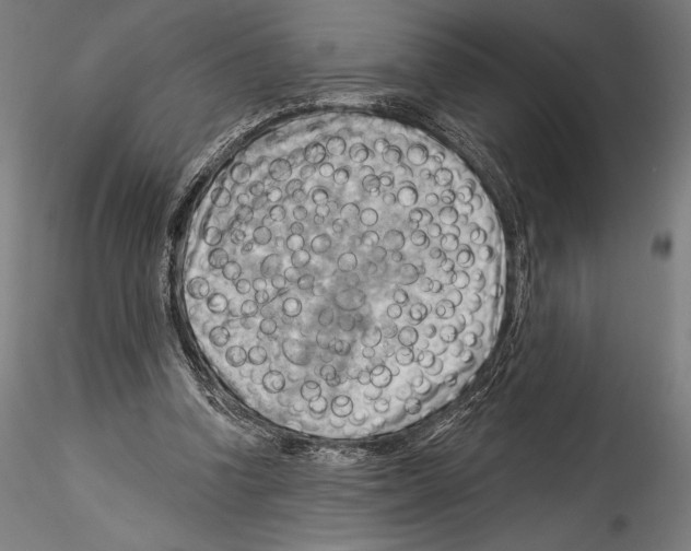 X0000114530346200911301144