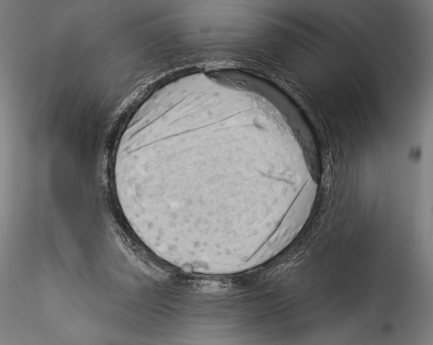 X0000114530347200911301144