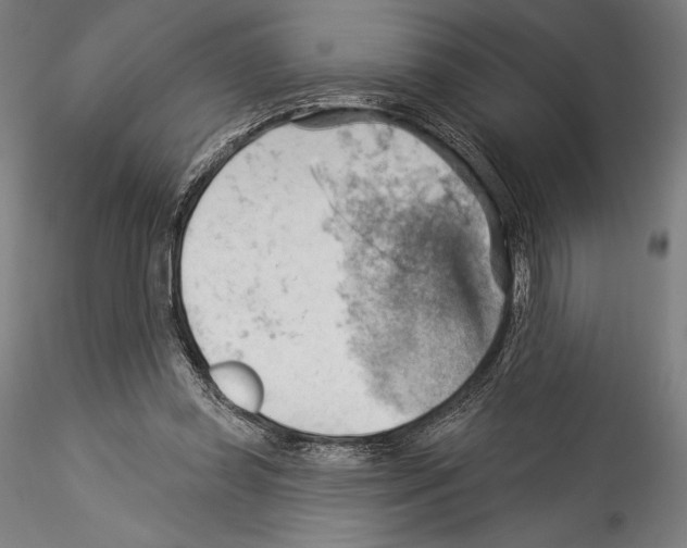 X0000114530349200911301144