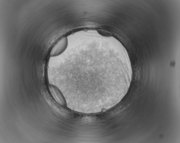 X0000114530350200911301144