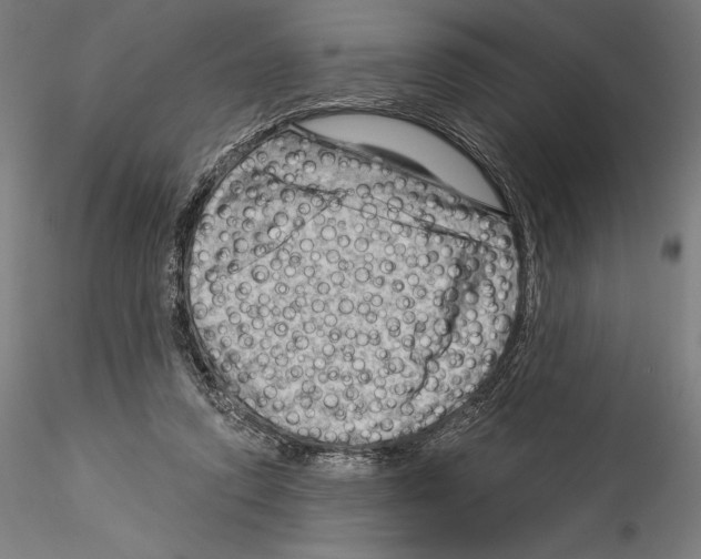 X0000114530354200911301144