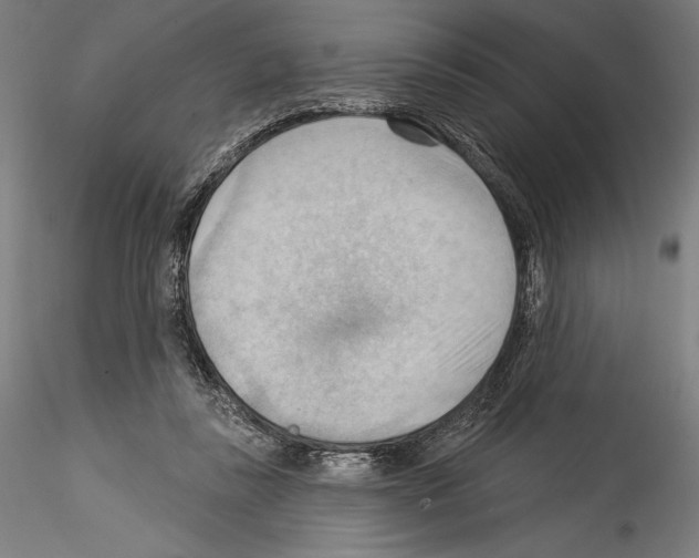 X0000114530355200911301144