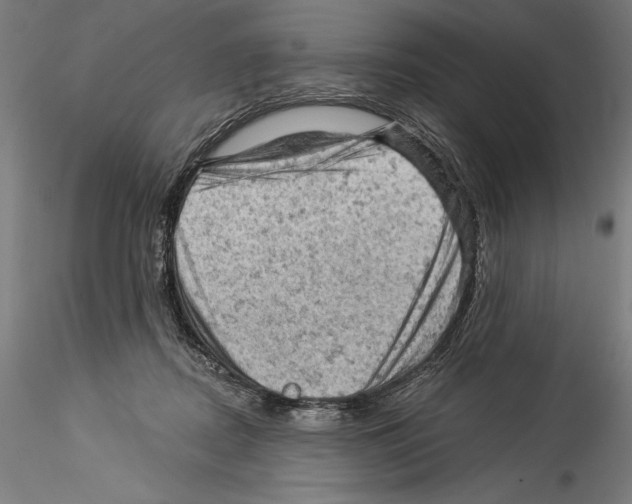 X0000114530362200911301144