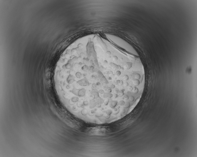 X0000114530366200911301144