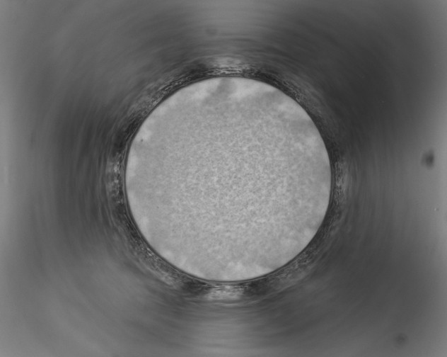 X0000114530369200911301144