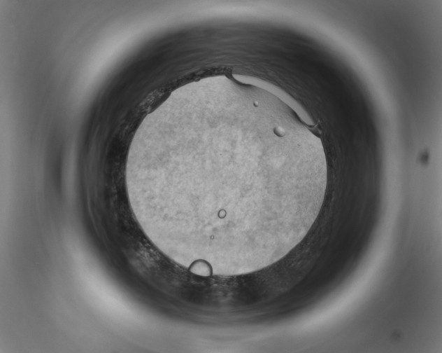 X0000114530382200911301144