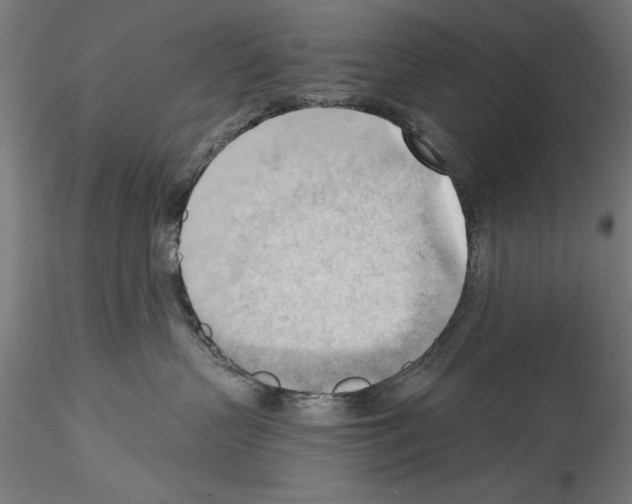 X0000114530383200911301144