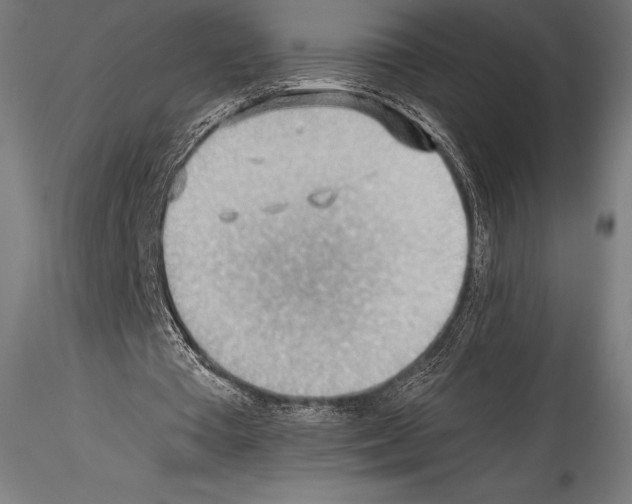 X0000114530385200911301143