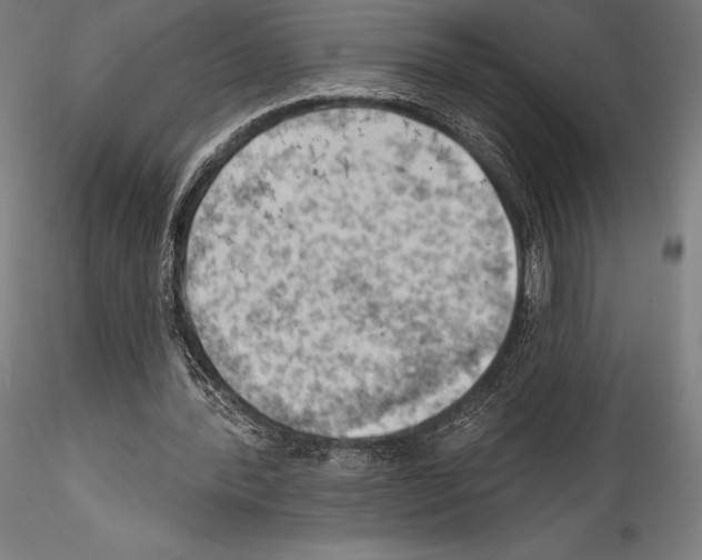 X0000114530388200911301143