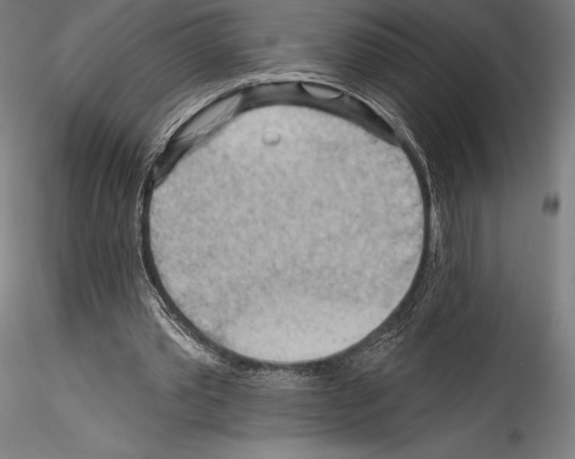 X0000114530389200911301143