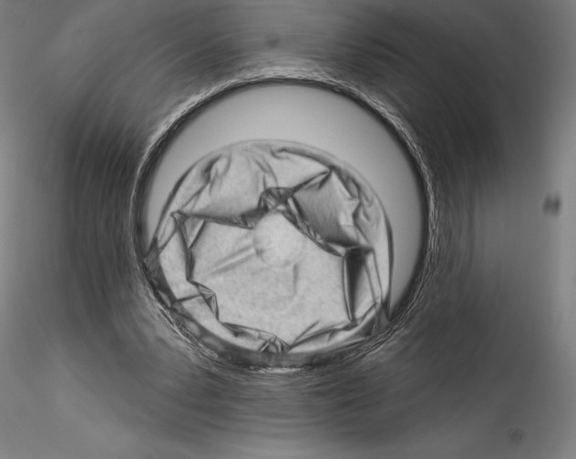 X0000114530391200911301143