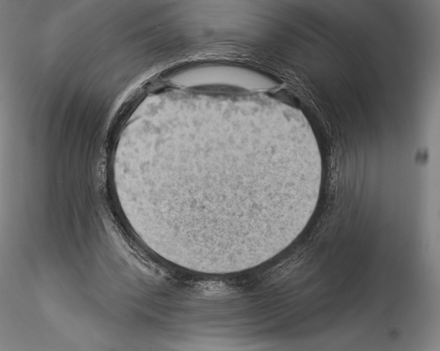 X0000114530392200911301143