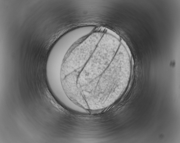 X0000114530393200911301143