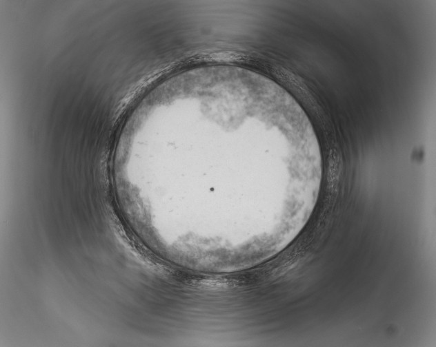 X0000114530394200911301143