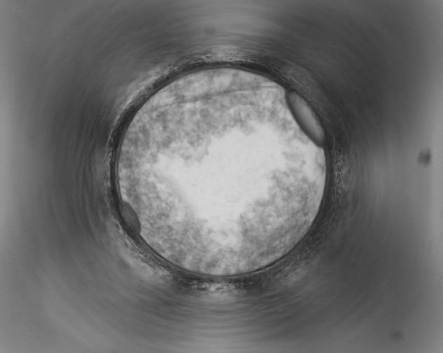 X0000114530395200911301143