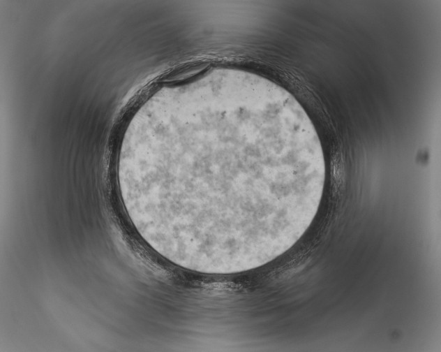 X0000114530396200911301143