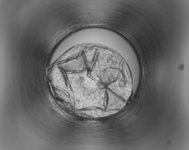 X0000114530397200911301143