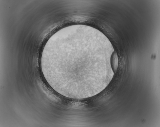 X0000114530399200911301143