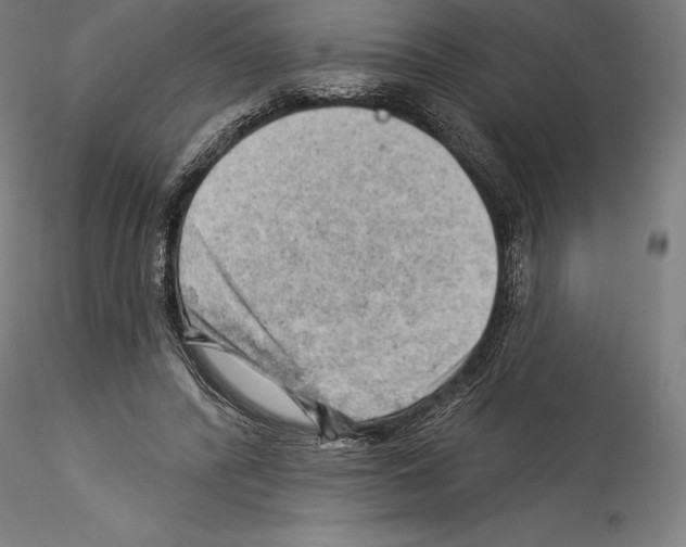 X0000114530400200911301143