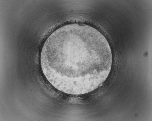 X0000114530403200911301143